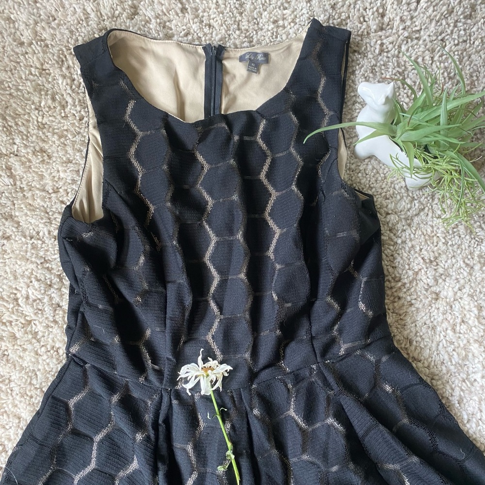 Lily Rose behive pattern vintage mesh mid summer evening dress. Super hip - Picture 4 of 4